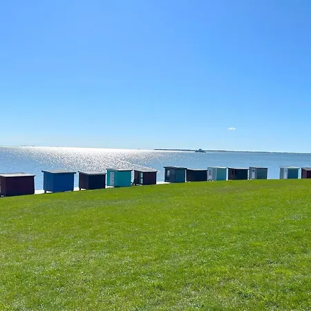 Xxl-holzhaus Mit Sauna & Grossem Garten